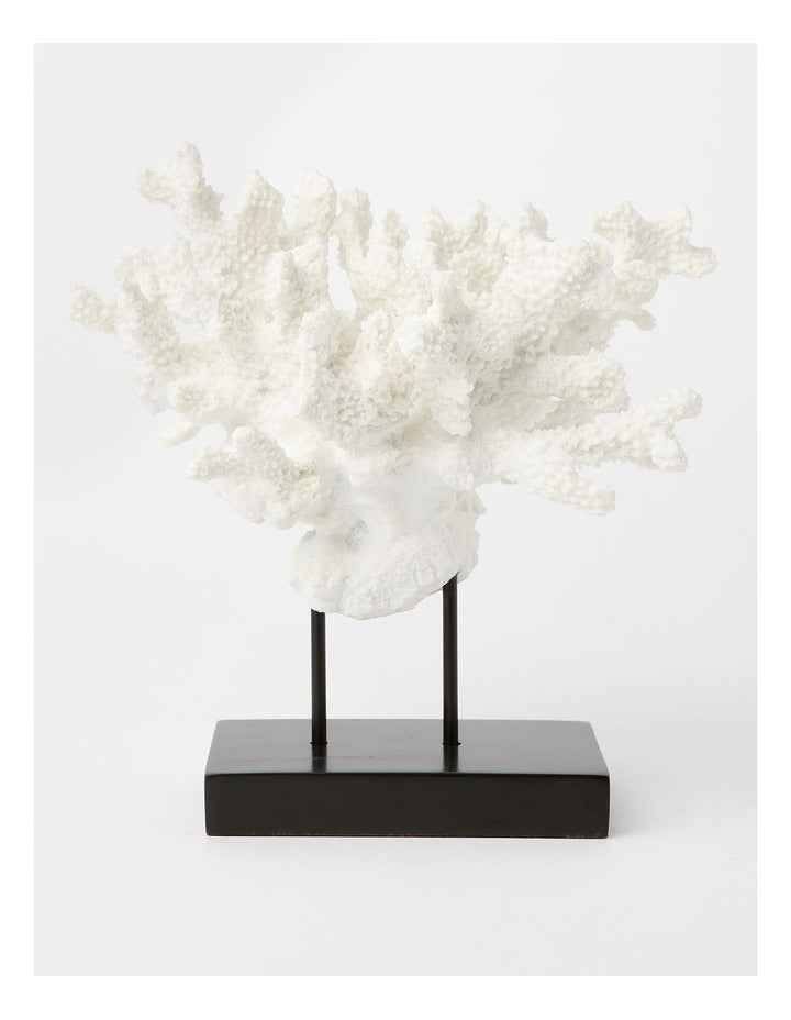 Atolle Coral Sculpture Small 21cm in White