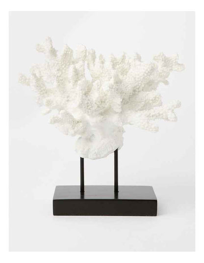Atolle Coral Sculpture Small 21cm in White