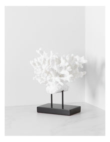 Atolle Coral Sculpture Small 21cm in White
