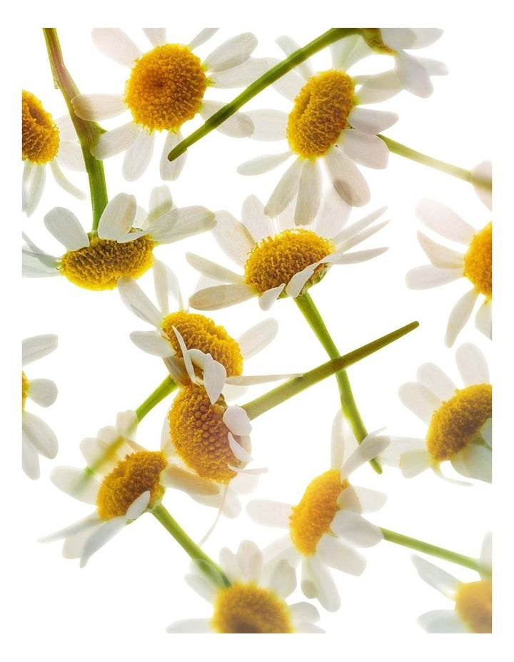 Soothing Toning Lotion 200ml