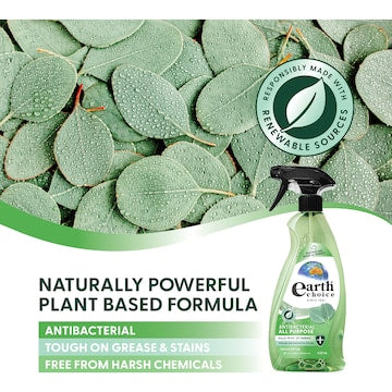 Earth Choice Antibacterial All Purpose Surface Spray 600mL