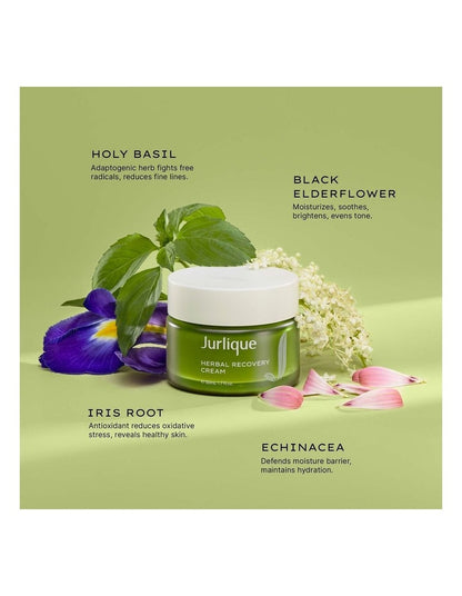 Herbal Recovery Cream 50ml