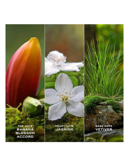 Daisy Wild Eau de Parfum Pen Spray