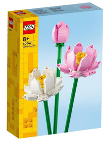 Botanicals Lotus Flowers 40647