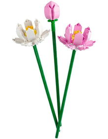 Botanicals Lotus Flowers 40647