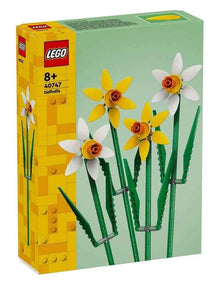 Botanicals Daffodils 40747