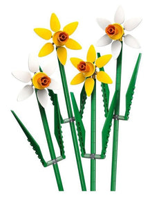 Botanicals Daffodils 40747