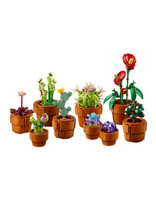 Botanicals Tiny Plants 10329