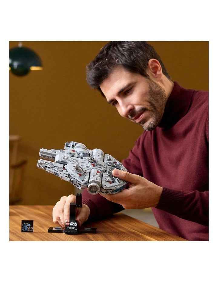 Star Wars TM Millennium Falcon 75375 in Multi