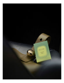 French Pear Car Diffuser Refill Pod