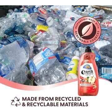 Earth Choice Ultra Concentrate Dishwashing Liquid Red Apple 900mL