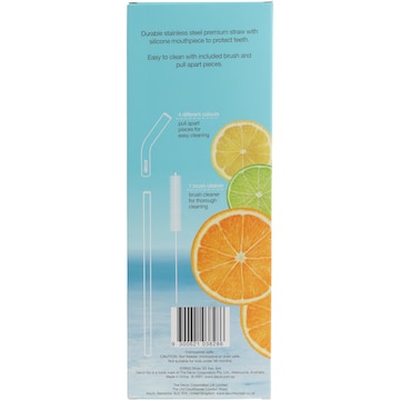 Decor Reusable Stainless Steel Straws 4 pack