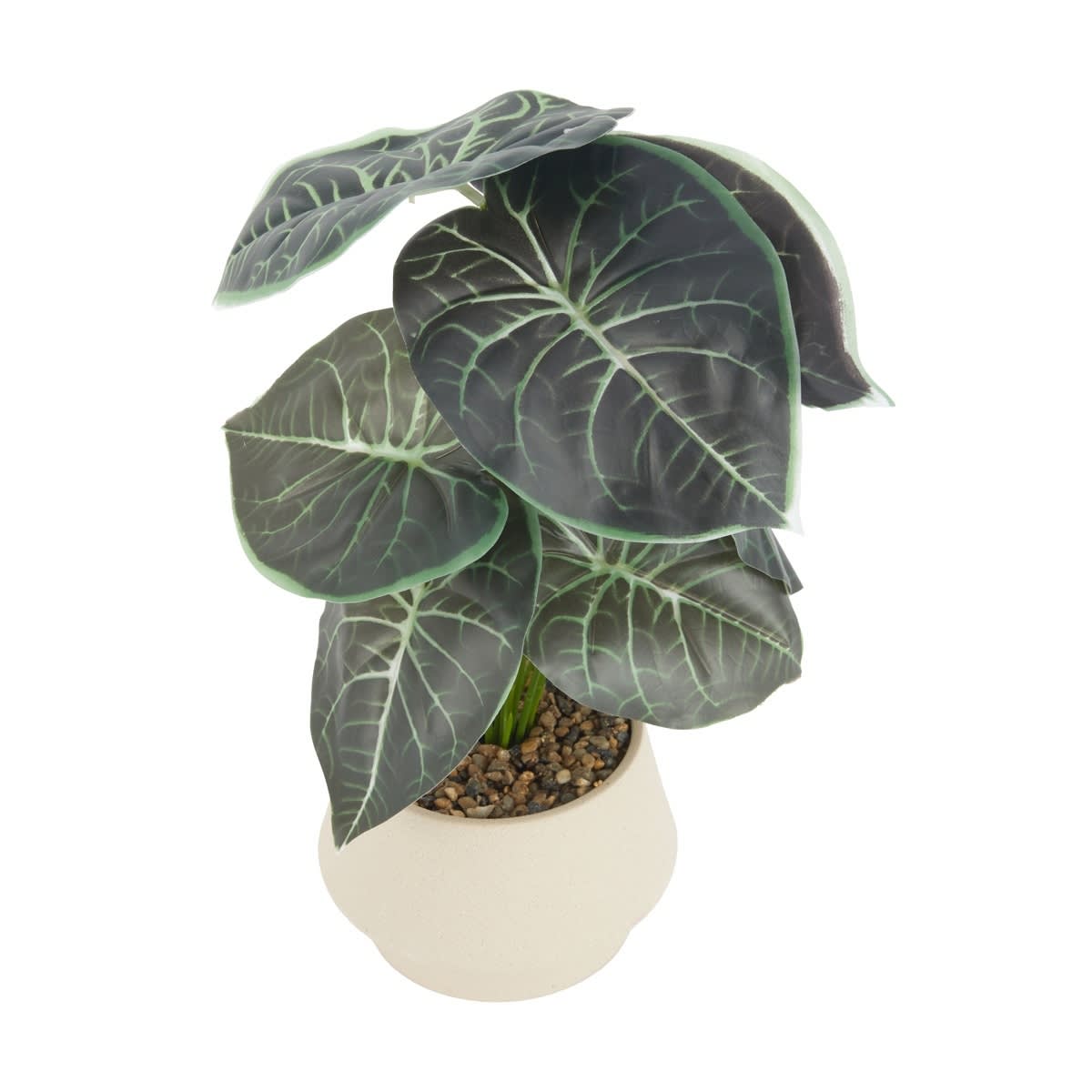 Artificial Alocasia in Pot