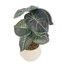 Artificial Alocasia in Pot