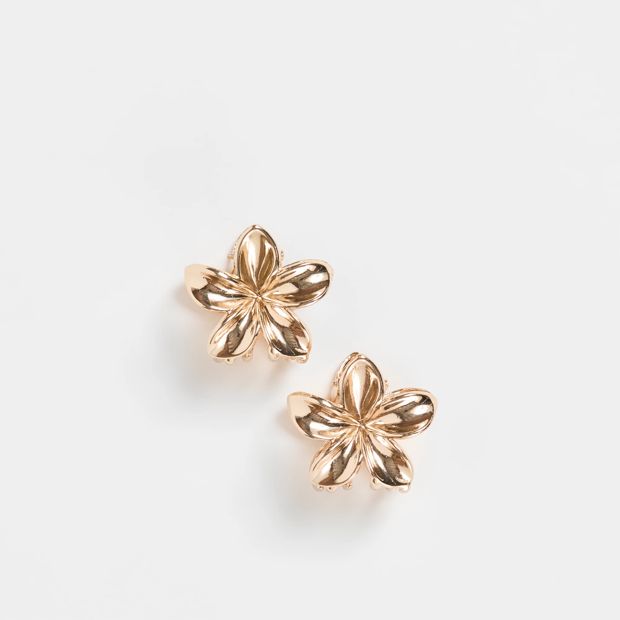 2 Pack Mini Metal Frangipani Hair Clips