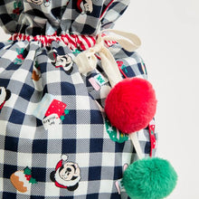 Disney Minnie & Mickey Family Matching Christmas Santa Sack