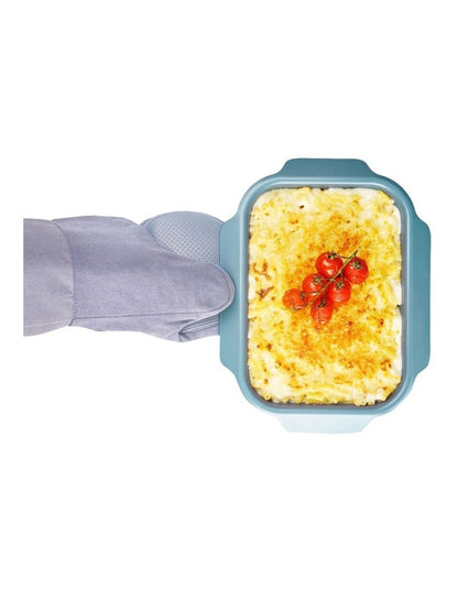 Nest Oven Tray Small in Blue