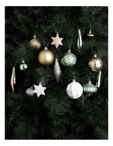 Eucalyptus Christmas 50pk Shatterproof Ornaments in Assorted Colours & Sizes