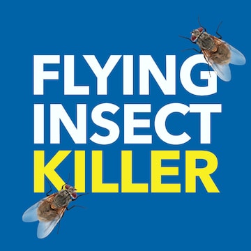 Raid Flying Insect Killer Spray Odourless 350g