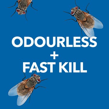 Raid Flying Insect Killer Spray Odourless 350g