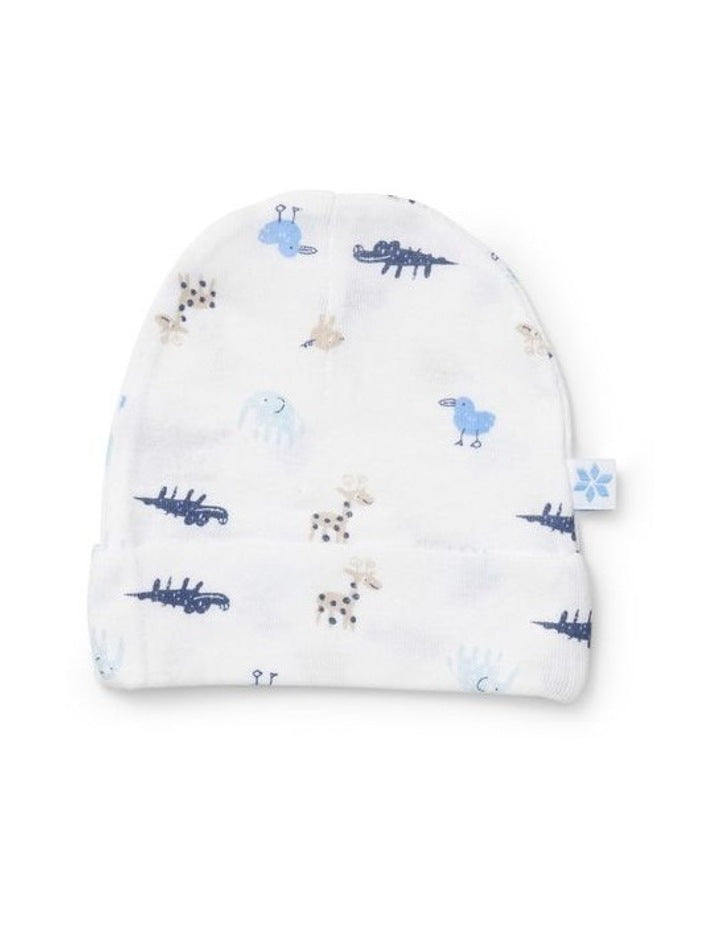 Beanie 2 Pack in Blue