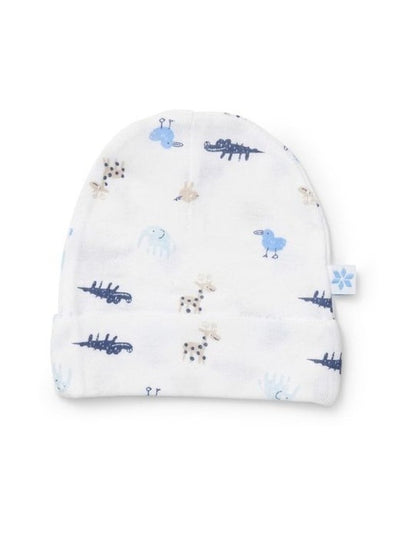 Beanie 2 Pack in Blue