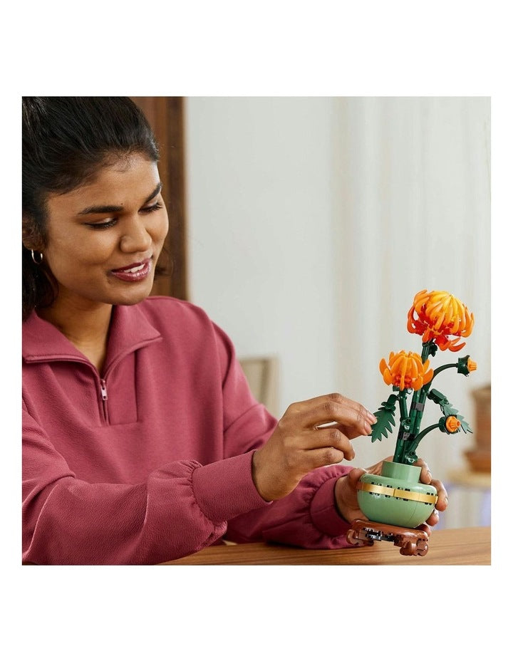 Botanicals Chrysanthemum 10368