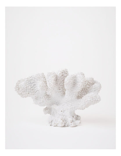 Atolle Coral Object 16x11cm in White