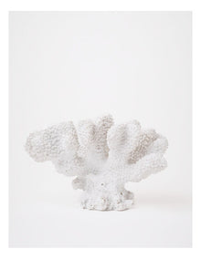 Atolle Coral Object 16x11cm in White