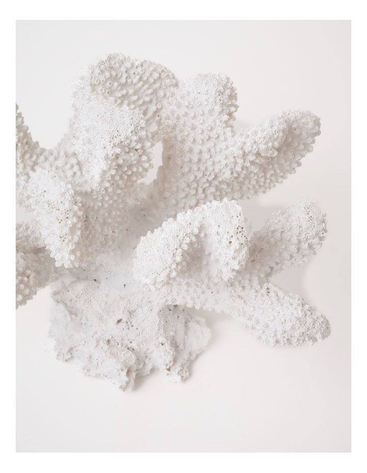 Atolle Coral Object 16x11cm in White