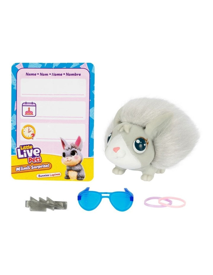 Mama Surprise Bunny