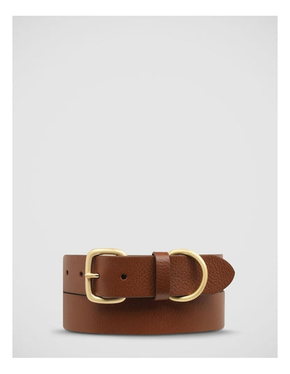 Disarm Belt in Tan/Gold