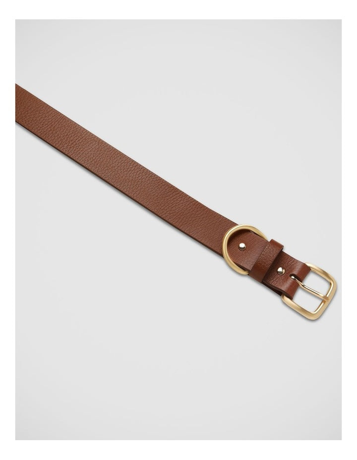 Disarm Belt in Tan/Gold