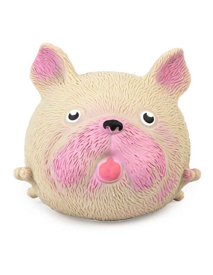 Squidgy Pooch Toys