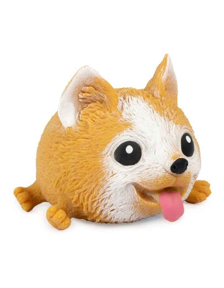 Squidgy Pooch Toys