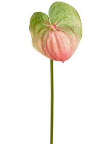 Anthurium Lily Real Touch in Pink