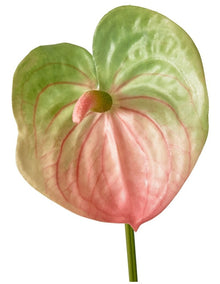 Anthurium Lily Real Touch in Pink