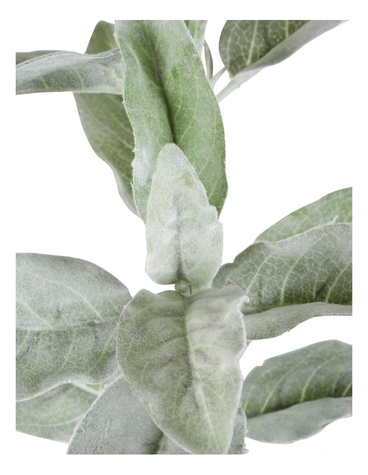 Lamb's Ear Flocked Stem 71cm in Green