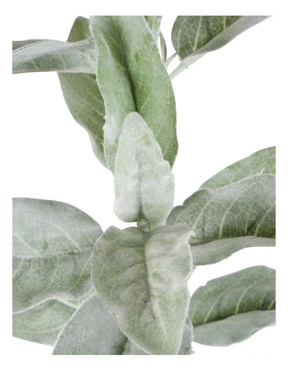 Lamb's Ear Flocked Stem 71cm in Green