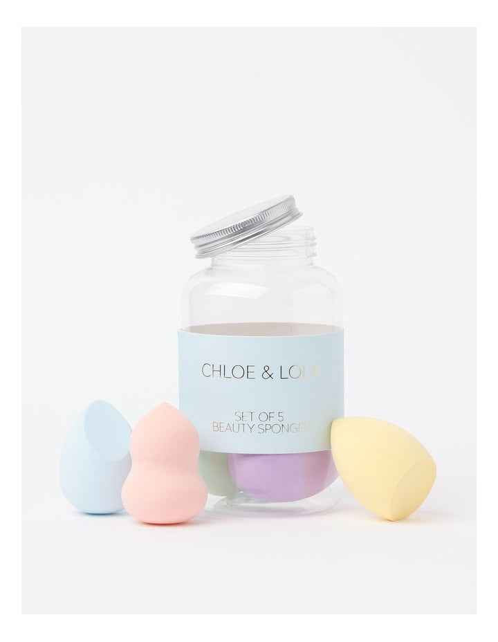 Set of 5 Sponges in Jar