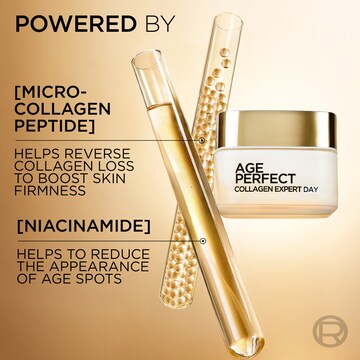 L'Oreal Paris Age Perfect Collagen Expert Day Cream 50mL