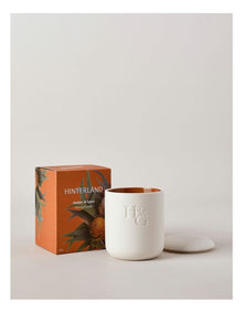 Hinterland Candle in Amber & Spice 250g in Brown