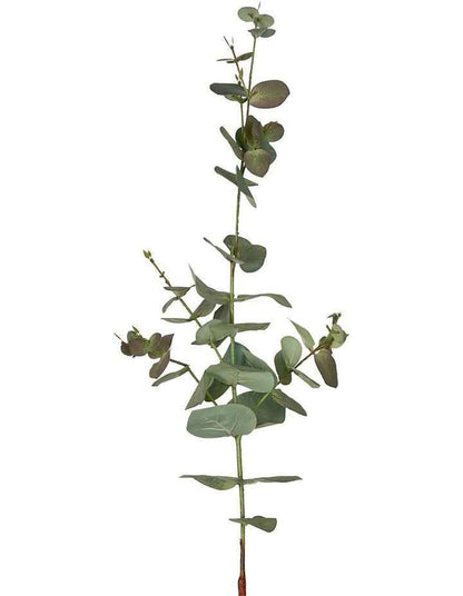 Eucalyptus Spray 74cm in Dark Green