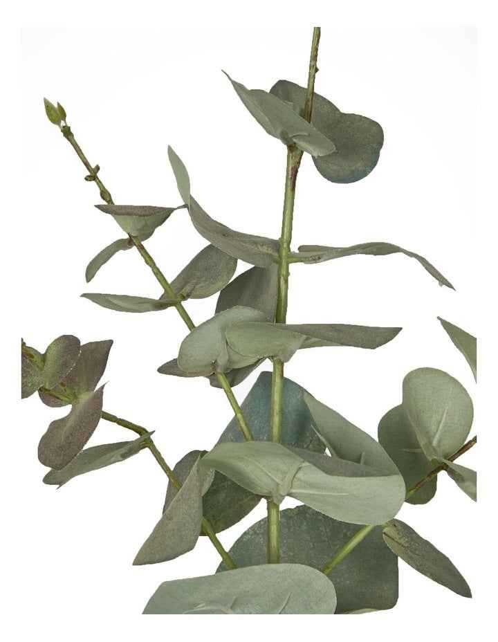 Eucalyptus Spray 74cm in Dark Green