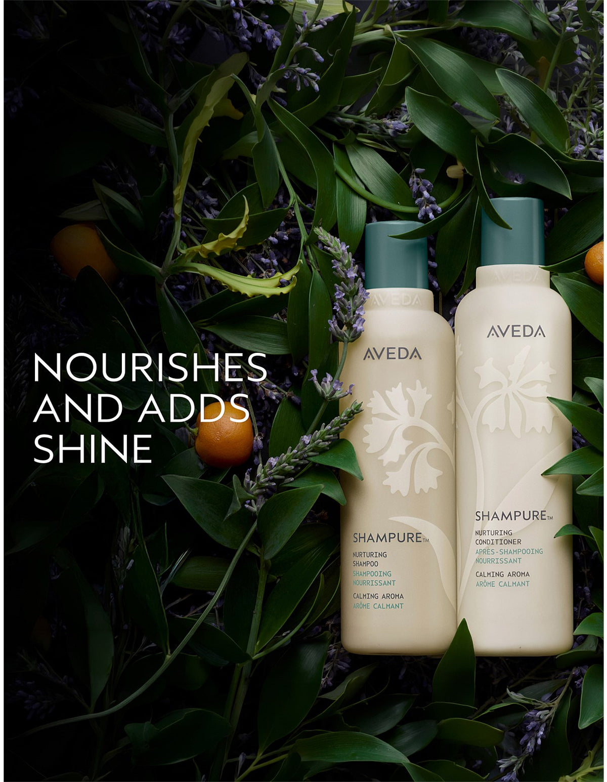 Shampure Conditioner 1000ml
