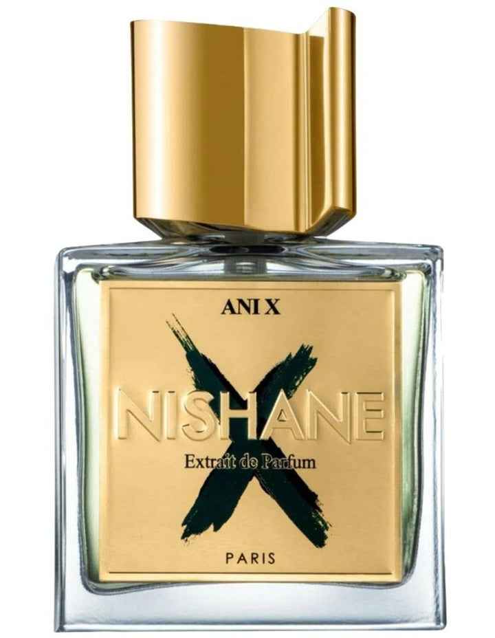 Ani X