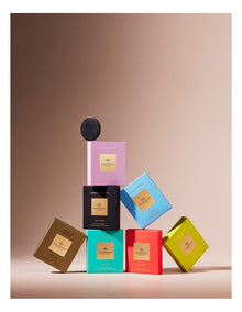 The Hamptons Car Diffuser 3 Replacement Scent Disks