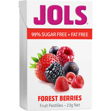 Jols Sugar Free Pastilles Forest Berries 23g