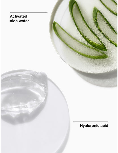 Moisture Surge Sheertint Hydrator SPF25