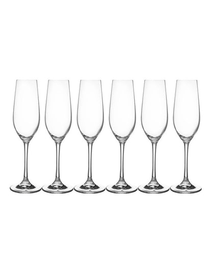 Manhattan Flute Glass 230ml Set of 6 Gift Boxed in Clear